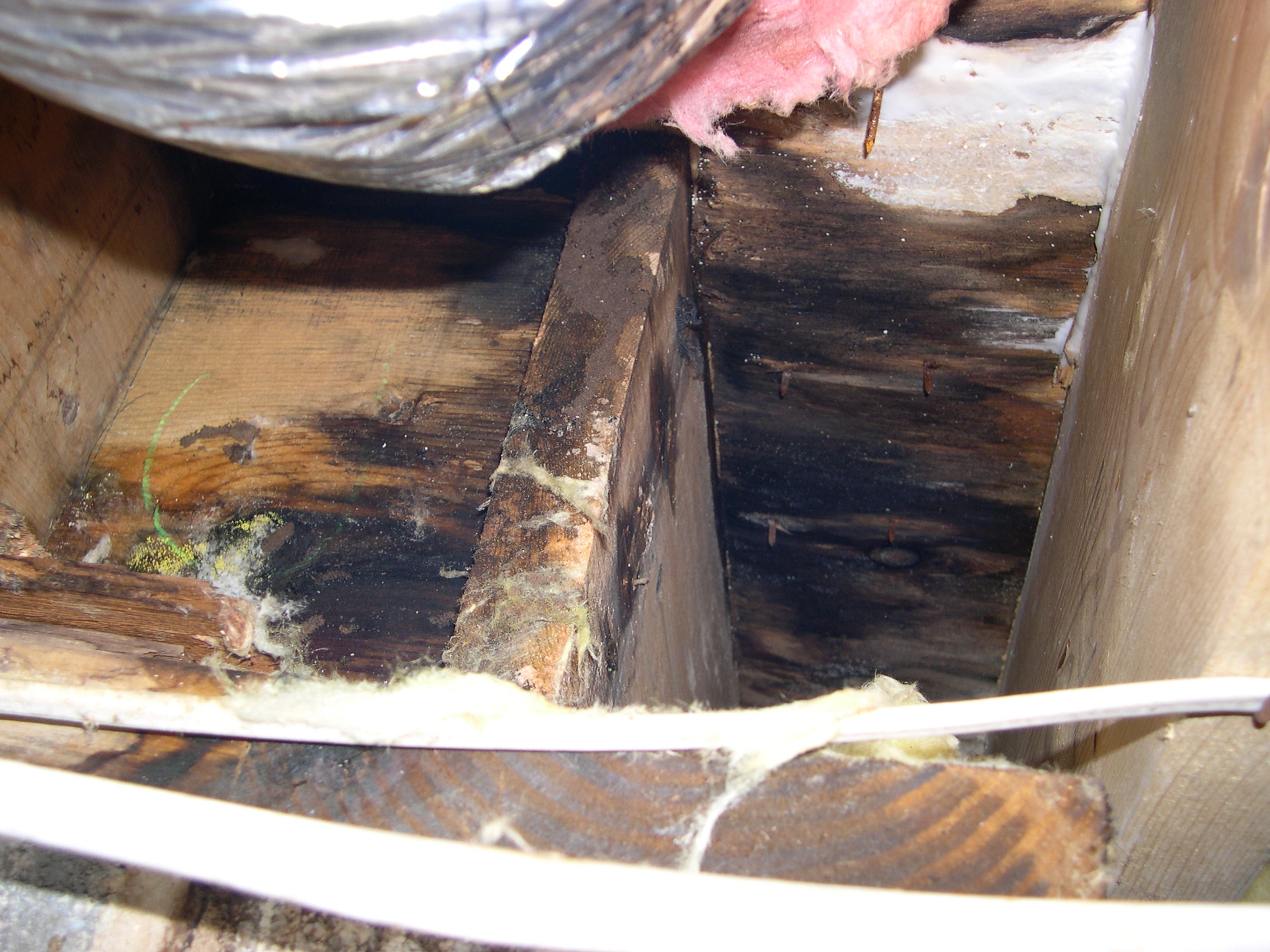Rot in Crawl Space